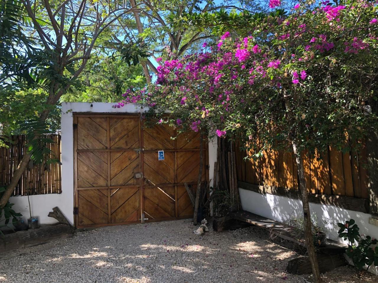 San Onofre Bamboo Rincon Del Mar酒店 外观 照片