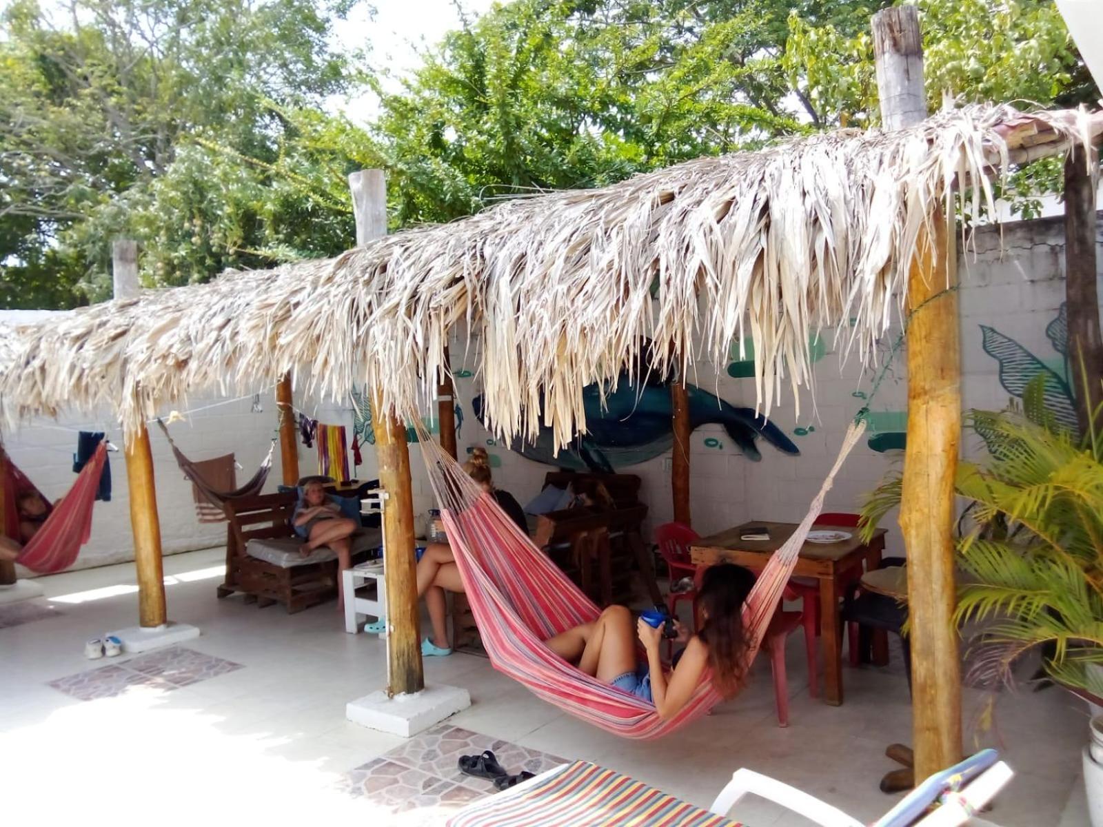 San Onofre Bamboo Rincon Del Mar酒店 外观 照片